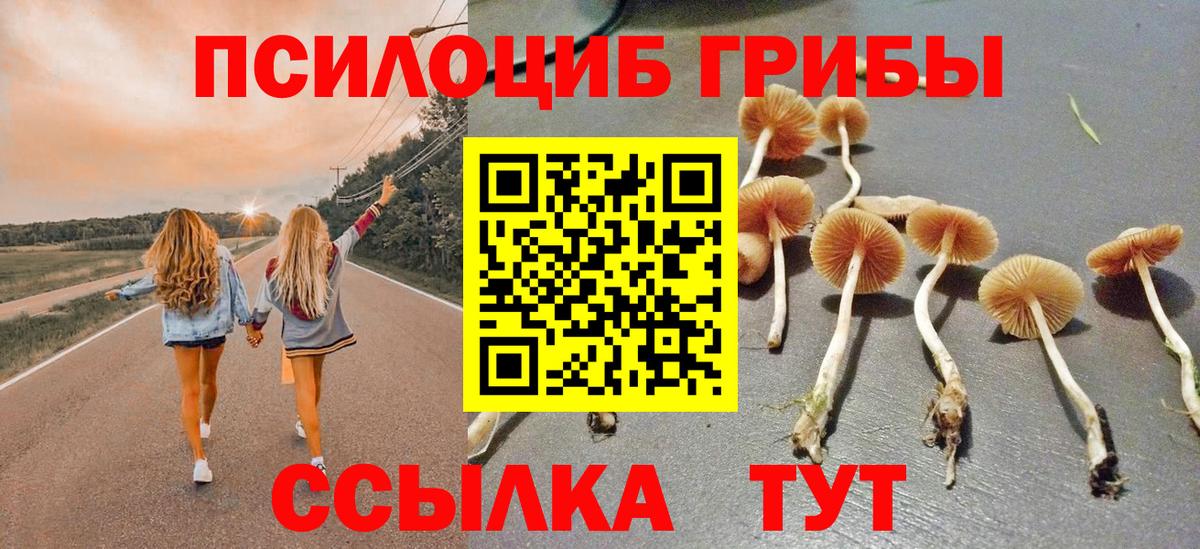 Псилоцибиновые грибы Cubensis  Псилоцибиновые грибы Psilocybe  Вход с VPN  Барабинск 